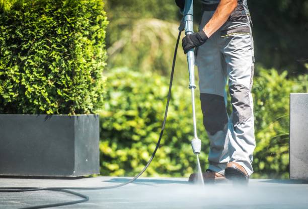 Best Patio and Deck Pressure Washing  in Flemington, NJ